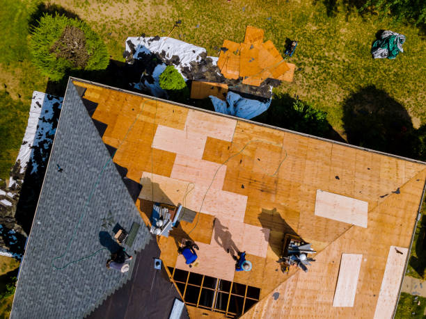 Best Roof Maintenance Services  in Lochmoor Waterway Estates, FL