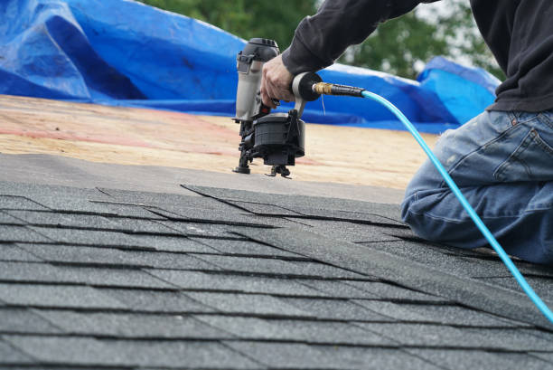 Best Gutter Installation and Roofing  in Lochmoor Waterway Estates, FL