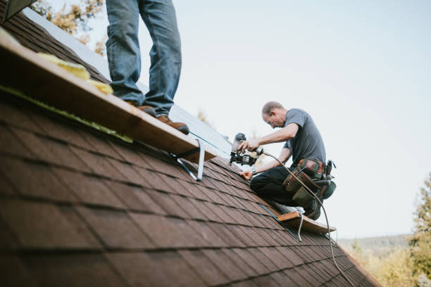 Quick and Trustworthy Emergency Roof Repair Services in Lochmoor Waterway Estates, FL